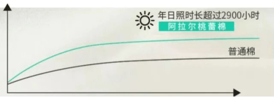 云朵|39.9元10双的夏季云朵袜,不起球不变形,比赤脚还舒服
