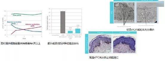 毛孔|原来想要拥有干净、清透的“初恋素颜脸”，只需要做好这一步！