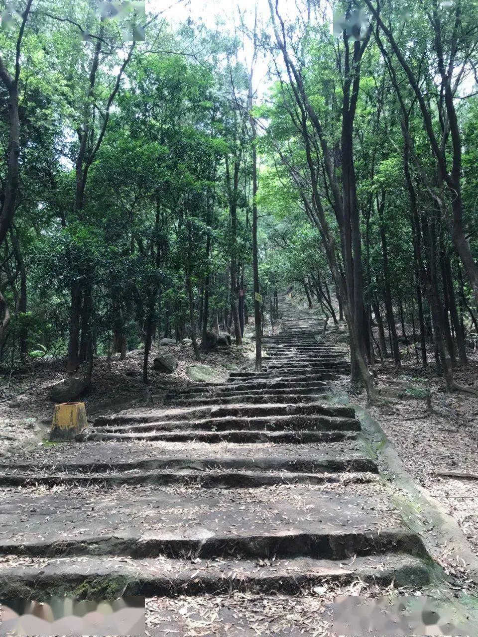 走,广州郊区登山去!记得带好你的相机