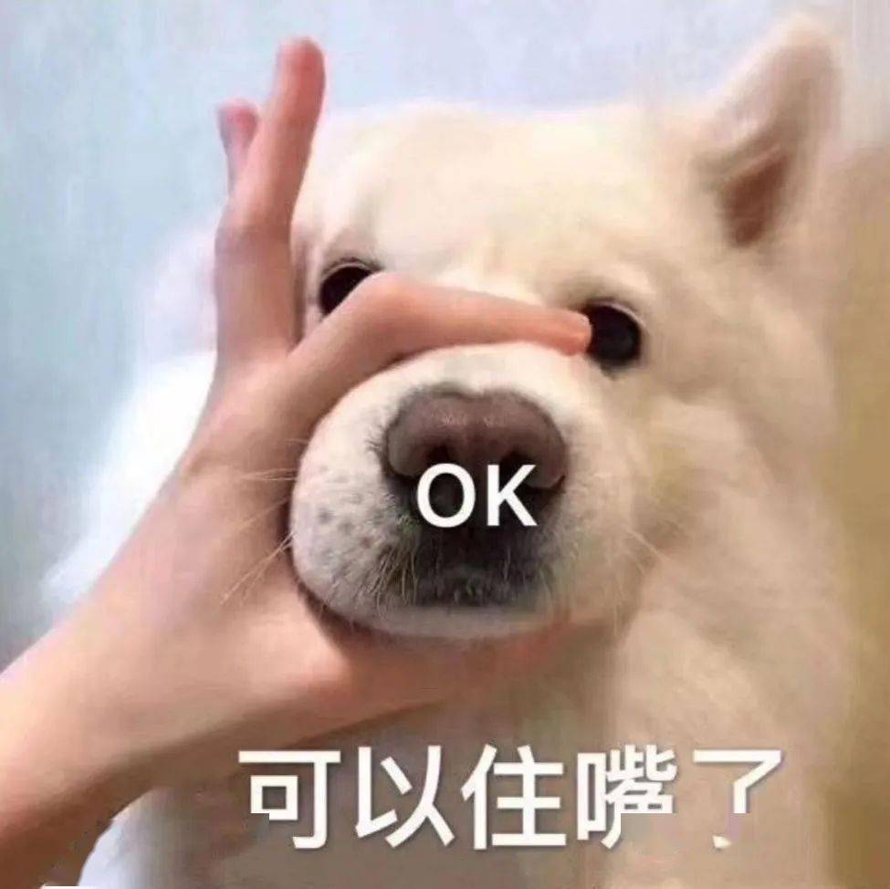 聊天斗图表情包 i 我快忍不住了!