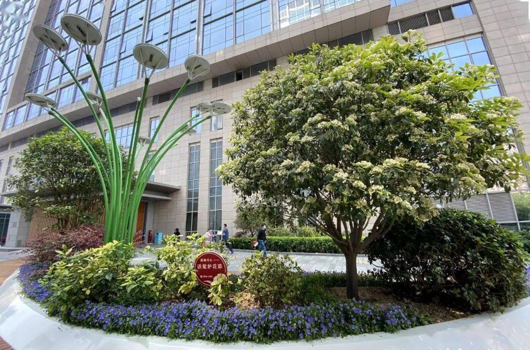 小伙|痛惜！32岁小伙因肥胖型糖尿病面临截肢