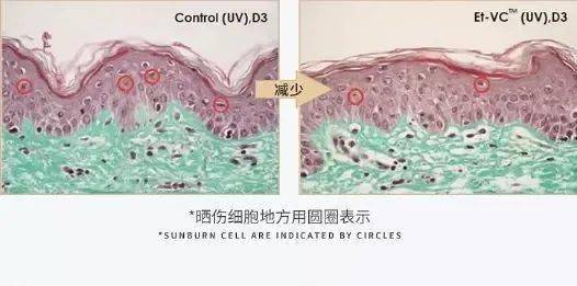 毛孔|原来想要拥有干净、清透的“初恋素颜脸”，只需要做好这一步！