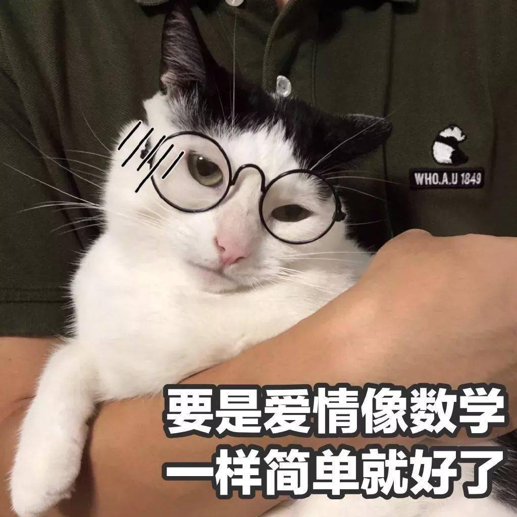 猫猫表情包第11期丨"要是起床像数学一样简单就好了"