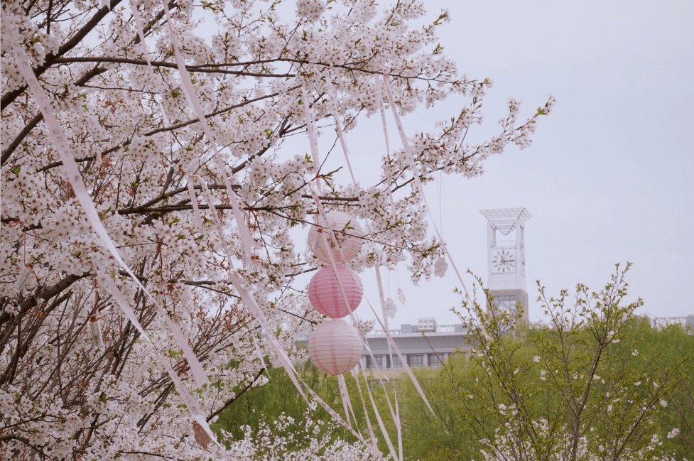 你好这里是武汉科技大学