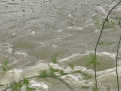 国务院|溺水事件频发！国务院发布1号预警！郑州这48处地方，不要靠近！