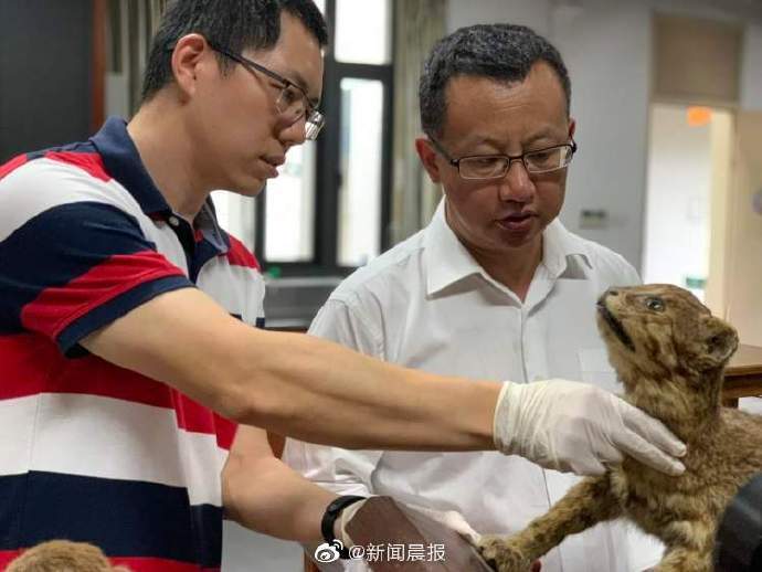 特级|标本师上门“整容手术”即刻安排！102岁特级老师再也不用为60岁的TA们操心了……