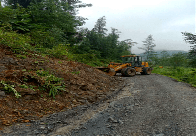 召市镇:摸排神州社区,方坡村,坪溪村等道路安全隐患7处;开展马路市场