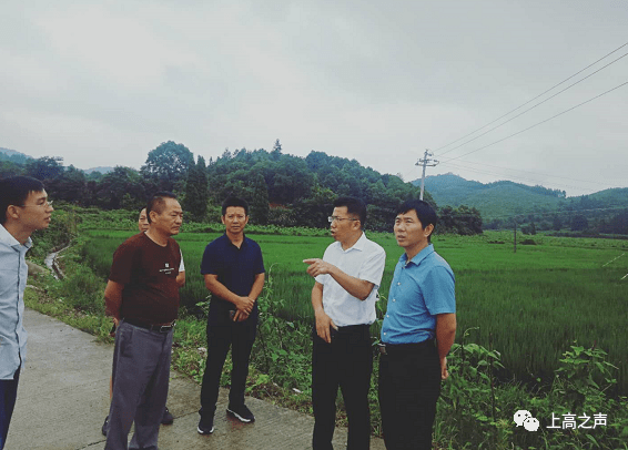 今日上高 胡宝成等到新界埠镇检查指导防汛工作