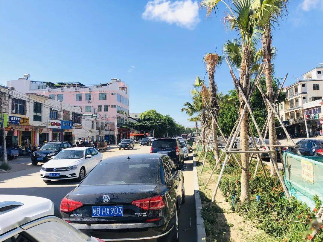 食材采购点林旺社区水果市场距离海棠湾自由港酒店约20分钟车程,不过