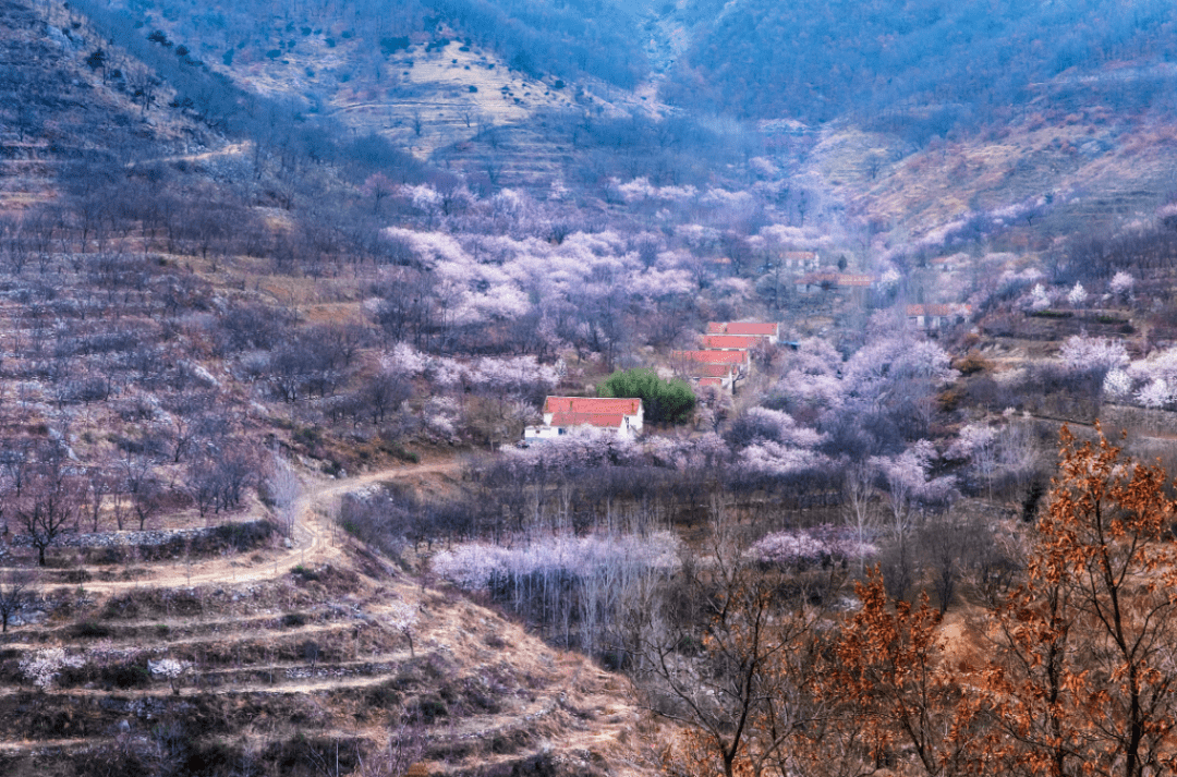 日照市新一批在建,拟建重点民宿项目集锦(三)_北山村