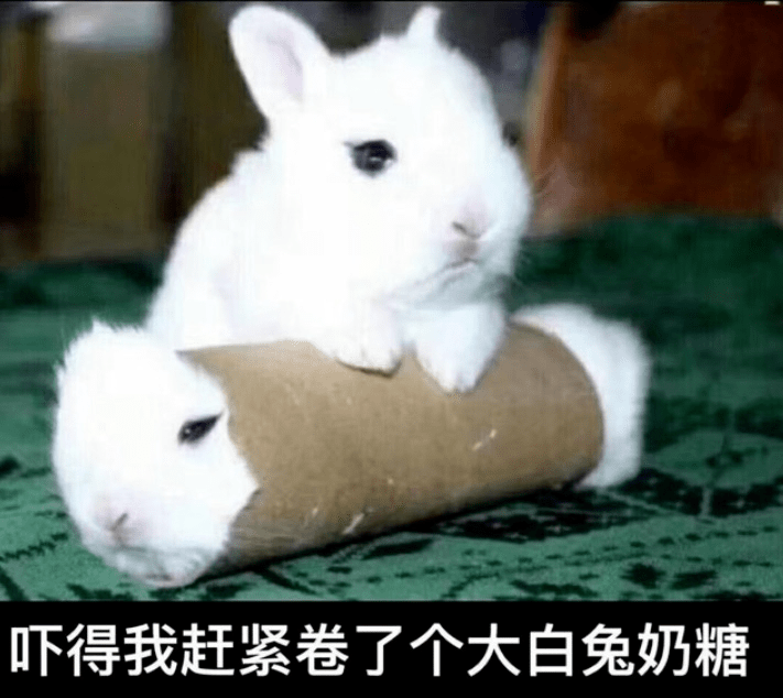 b053a4d3aced472f808740e51ec3e052.png