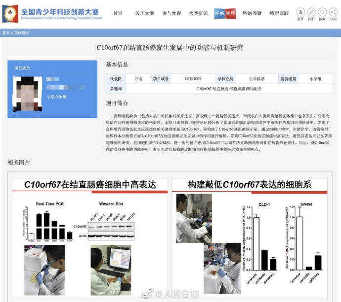 癌症|小学生研究癌症论文奖项被撤销