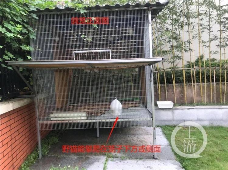 速围观!“暑假模式”开启,看看孩子们的特色暑假作业都有啥! 速围观!“暑假模式”开启,看看孩子们的特色暑假作业都有啥!