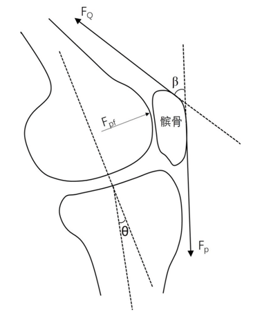 将其导入visual 3d(美国,c-motion,v5)三维分析软件,获取右下肢髋,膝