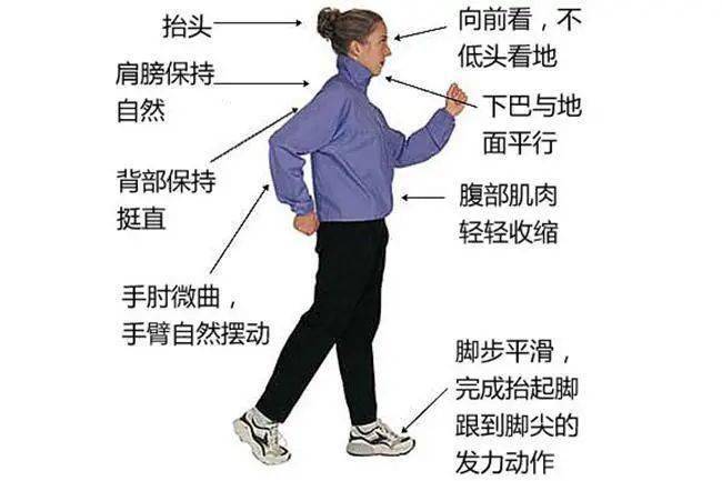走路是"妙药,早走早健康!