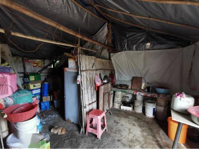 肯德基|警车路过肯德基时，逃犯嘟囔了一句，“我想吃汉堡”