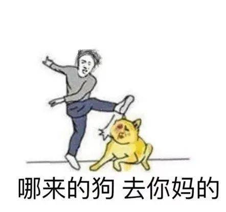 沙雕网友真是什么沙雕表情包都有