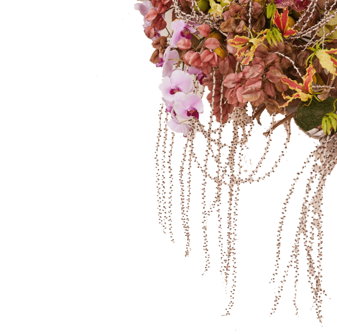 Cult|什么样的包袋品牌敢自称传家宝：CULT GAIA