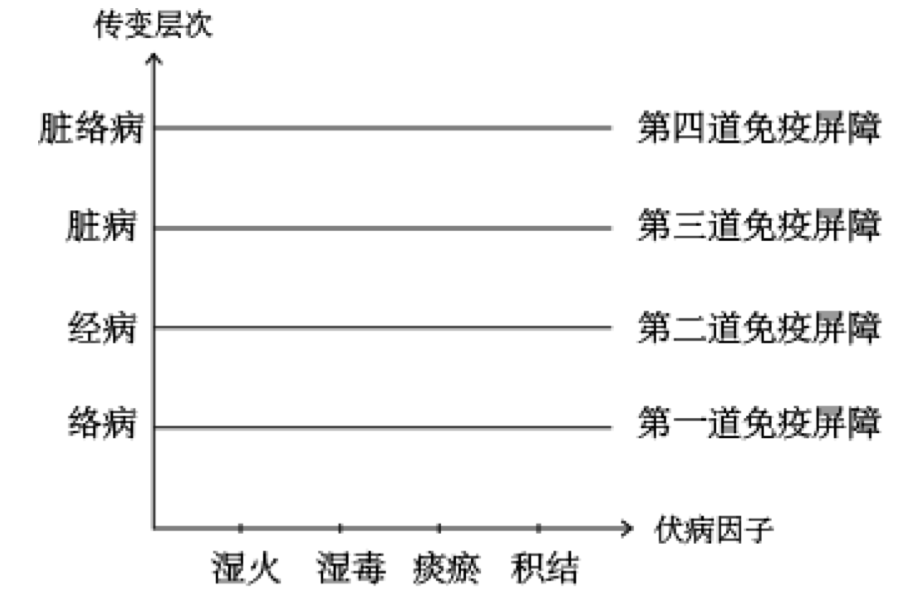 【伏病肿瘤论】—— 第十集 四层免疫屏障与三轮的关系