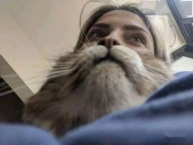人猫合一