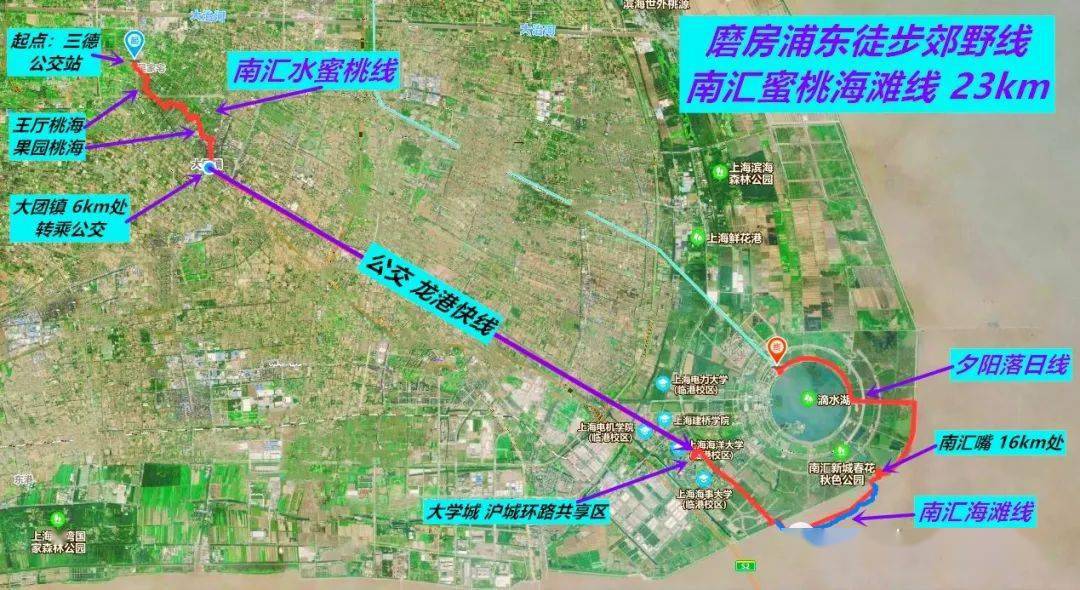 滩涂踱步终点:南汇嘴(10km处,此处可乘浦东33路下撤至滴水湖地铁站)