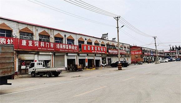 养殖户|【深度】探访“中国蛋鸡之乡”：蛋价半年跌去近六成，养殖户瞄准下一轮好行情