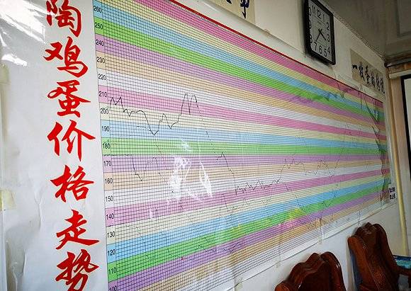 养殖户|【深度】探访“中国蛋鸡之乡”：蛋价半年跌去近六成，养殖户瞄准下一轮好行情