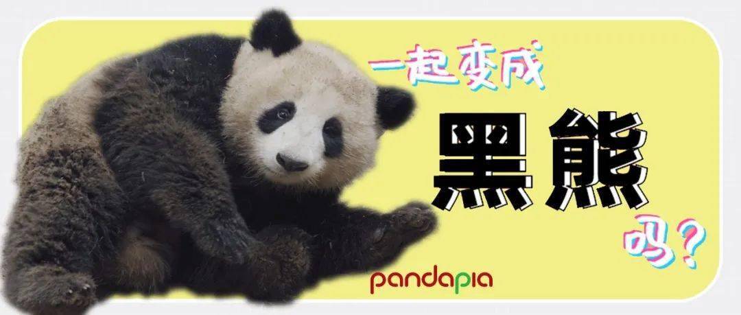 缘分|直播里偶遇心仪的大明星，这是什么奇妙的缘分！