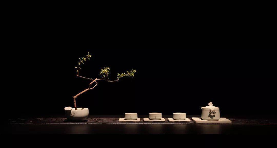 熟普|叫做晚茶有种满足感