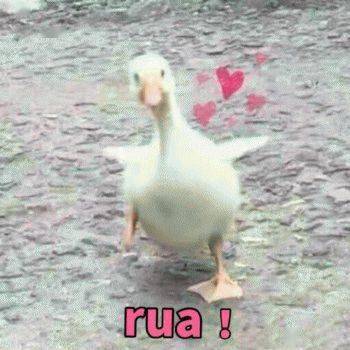 耳环|人狠话不多，厚积薄发的她们到底靠什么赢？深扒了舞台造型后大家都沉默了...