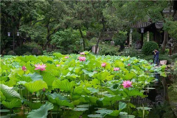 徐某|男子偷快递→“甩锅”给梅雨？！羡慕浙江要出梅了→上海啥时候？