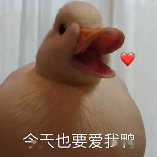 脸型|测评｜石原里美凭什么被封为亚洲最美面孔？少了这个恐怕不行！