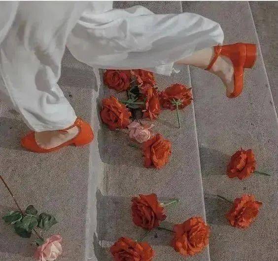 衣服|你总是很忙,但服装从不慌张