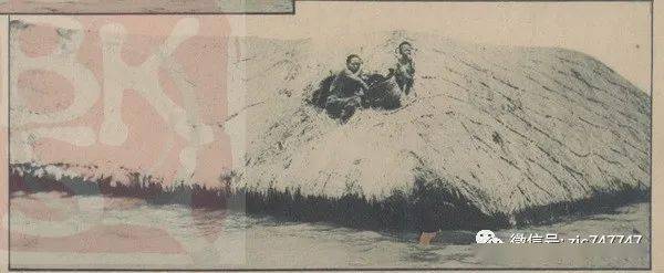1931年长江水灾,安庆半个城都淹了(多图)