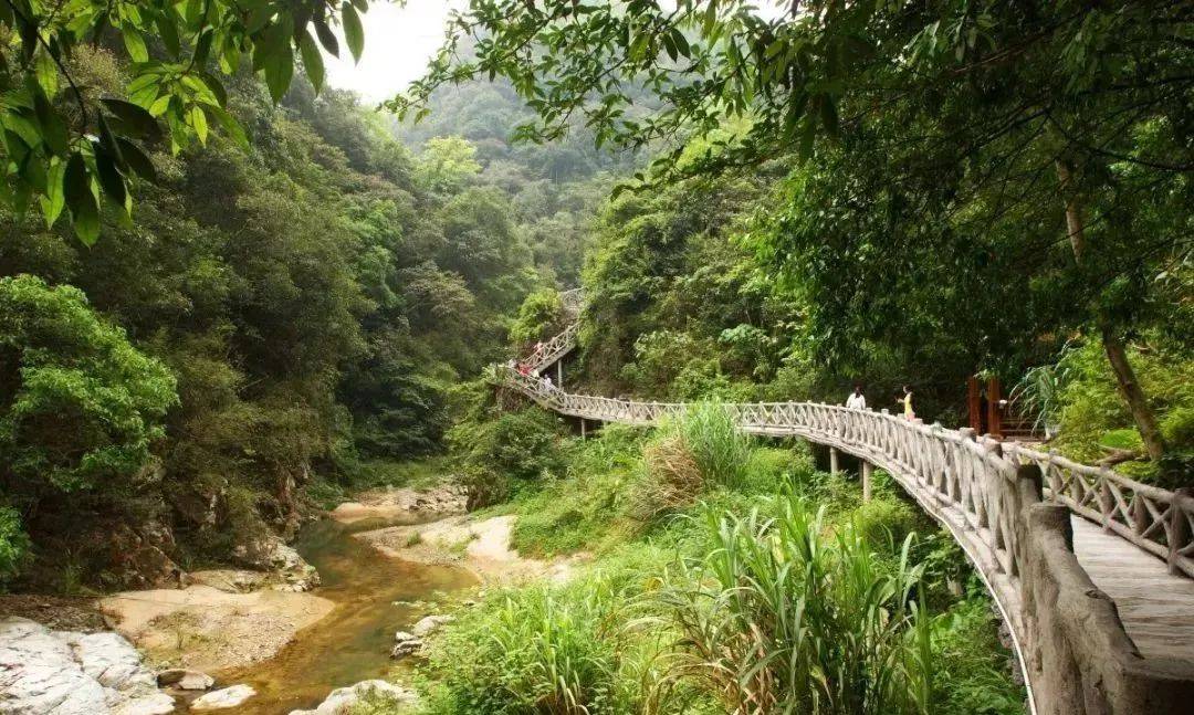 来源:瑞山 地址: 梅州市大埔县洲瑞镇 瑞山生态旅游度假区
