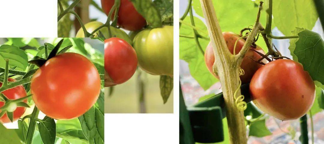 保养|7月好物|活力夏日，给皮肤＂干净＂的保养