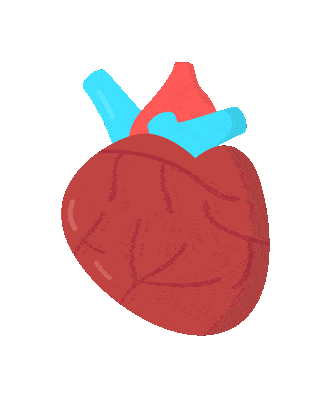 进行|糖尿病怎么控制血糖?记住这些就够了