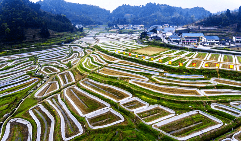 播州区枫香镇花茂村