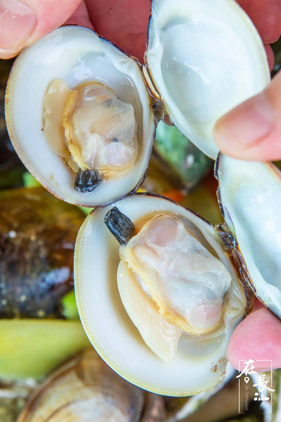 长沙|是什么来头?开业就爆店!惊现长沙海鲜烧烤界的新星之秀