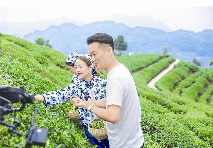 湖北文旅小镇旅游节"打卡"三峡茶旅小镇_邓村乡