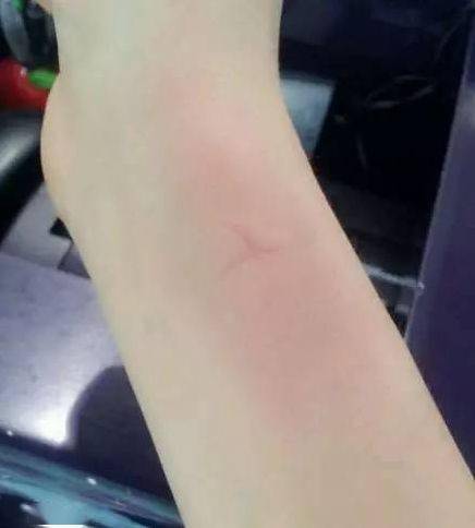 夏天|我们是这样度过夏天的!20年前没有空调