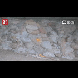 315曝光“过期汉堡”只是冰山一角，这6大隐患正在危害孩子的生命安全