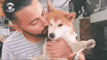 柴犬走丢3天回家,主人的态度变化很大,狗子也有点