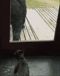 250_318 竖版 竖屏