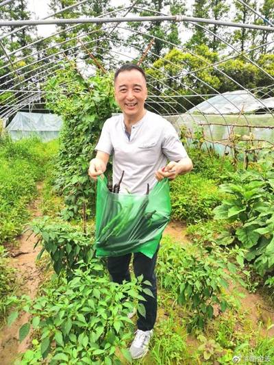 路金波|易中天韩寒们欲抱团上市,明星作家能否赢得资本垂青?