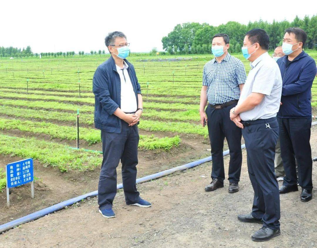 张旭东在东方红迎春林业局有限公司检查调研时强调加强生态建设激发