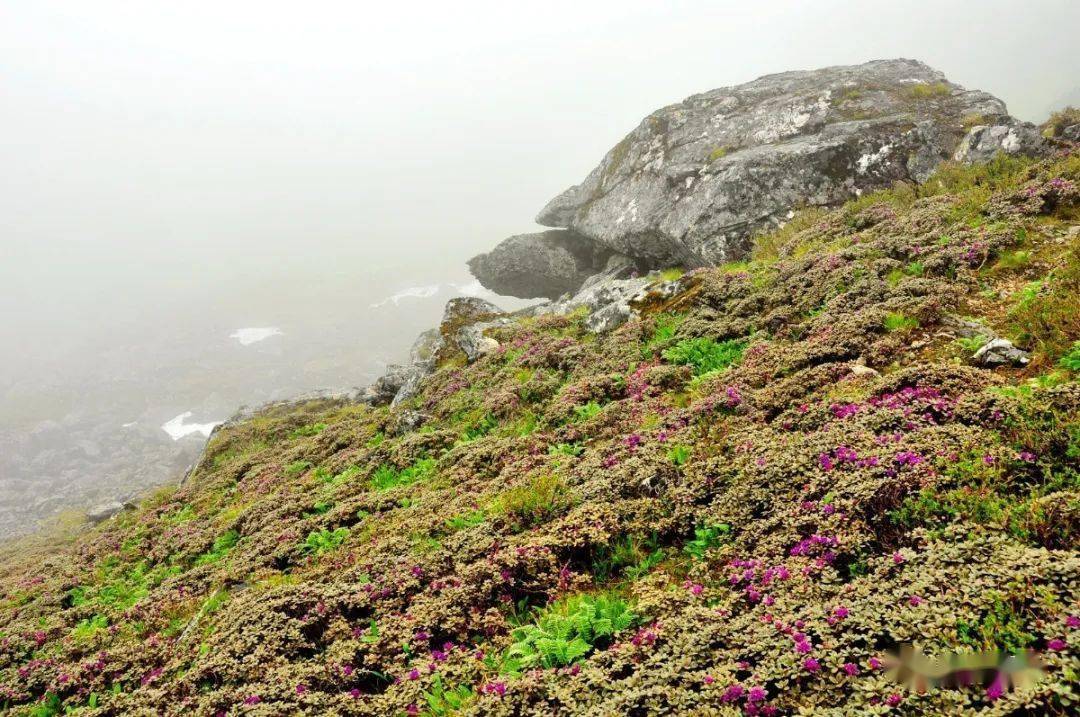 【怒江美景】兰坪风采——李茂金摄影作品欣赏