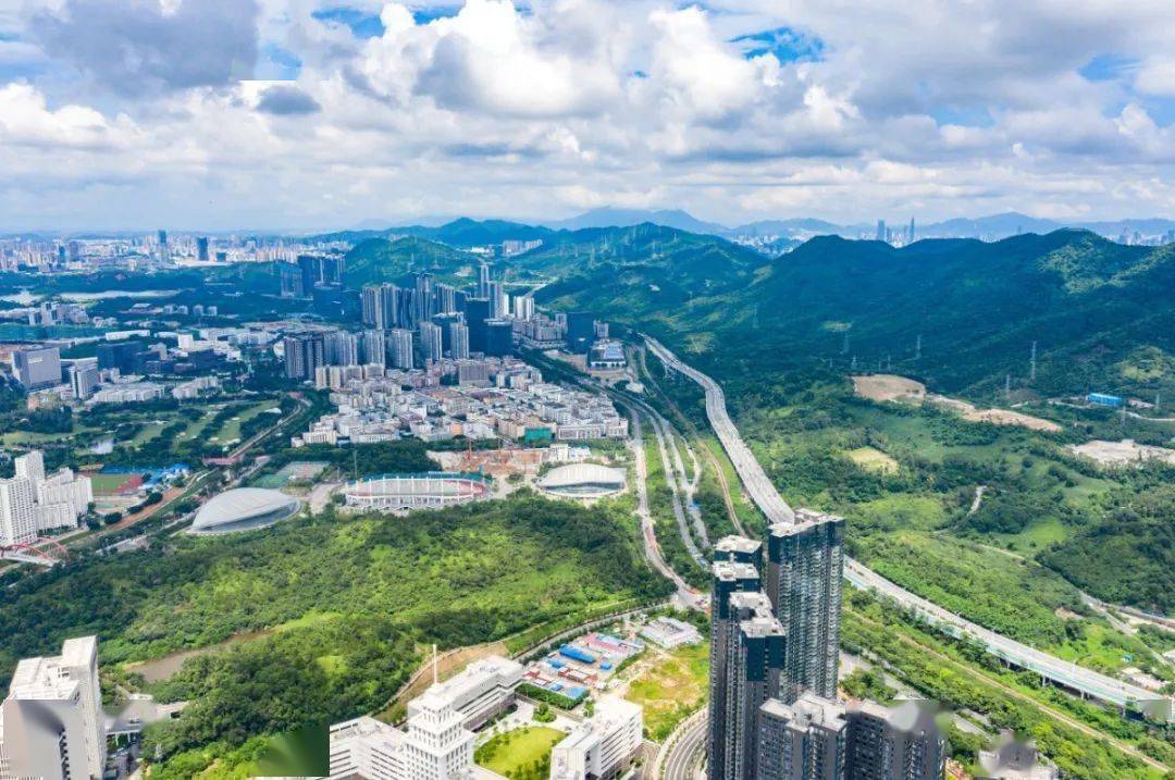 现在的西丽,其实有点像前几年的福田安托山.