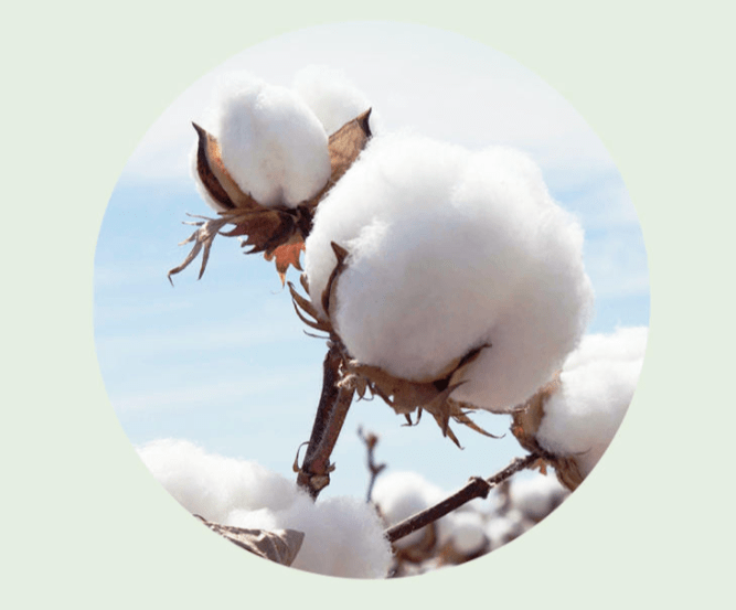 大牌|不废话！一百出头搞到大牌床品新款，一个字：冲！