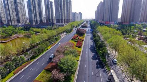 马路|交警部门提醒:带孩子过马路 抓手腕比牵手更安全